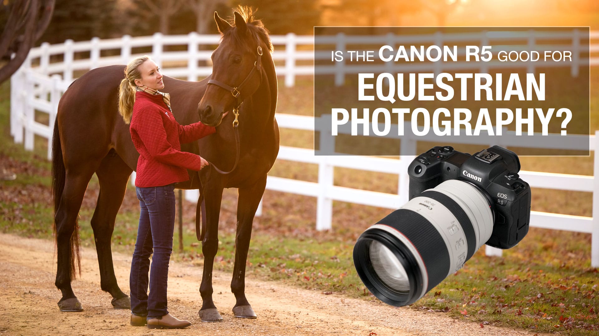 equestrian video camera