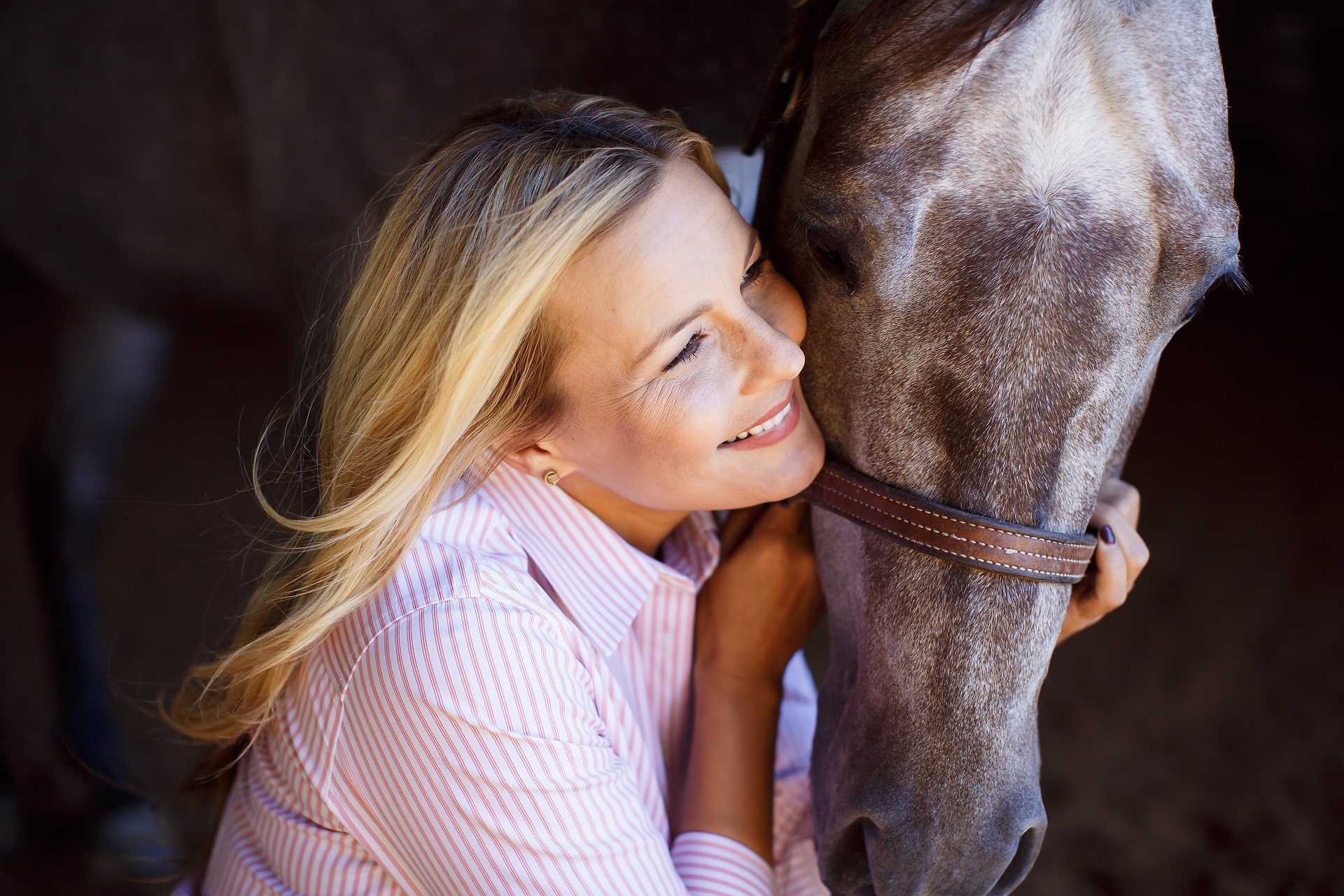 My “Why” as a Commercial Equine Photographer