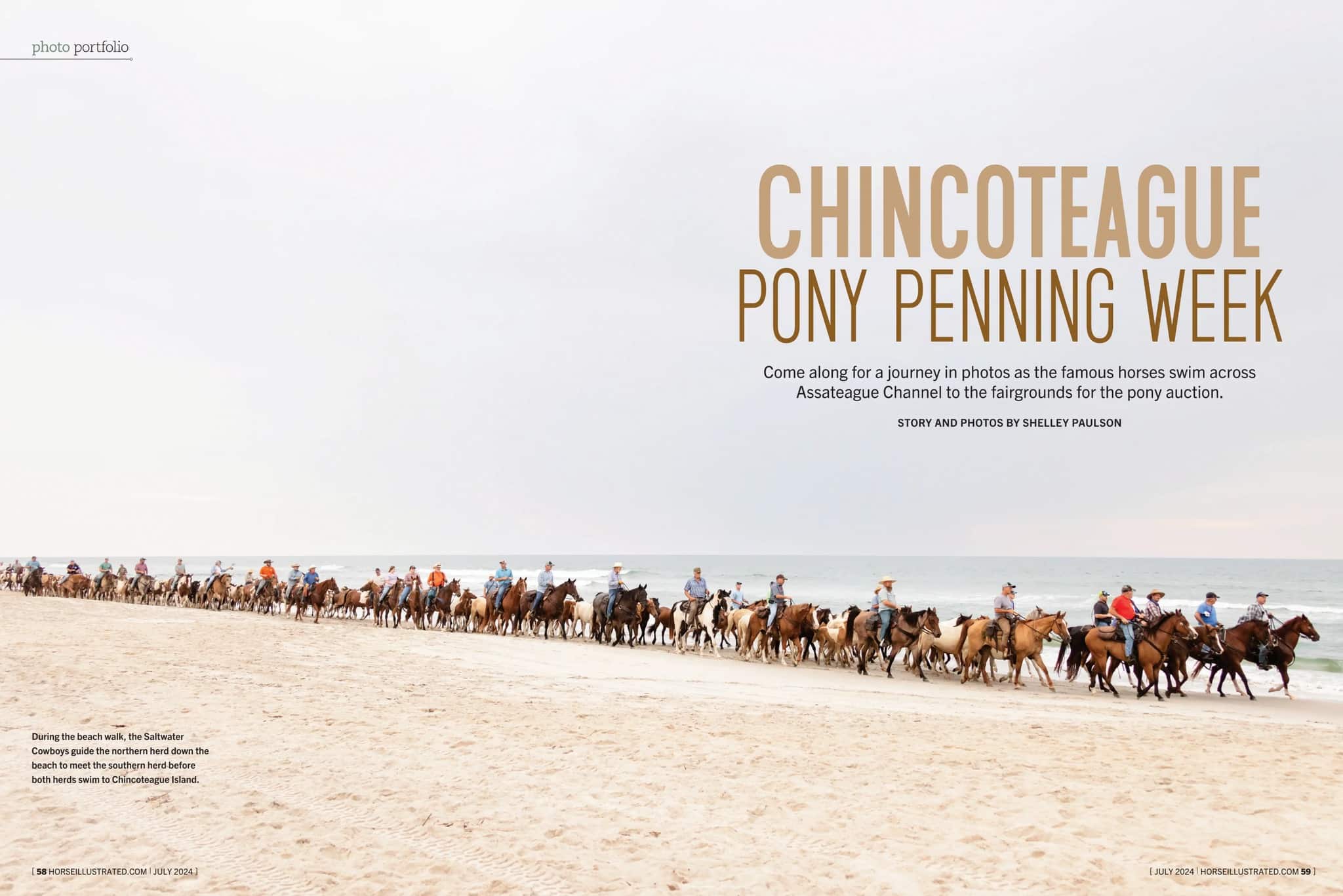 Chincoteague Pony Penning Week Feature in Horse Illustrated